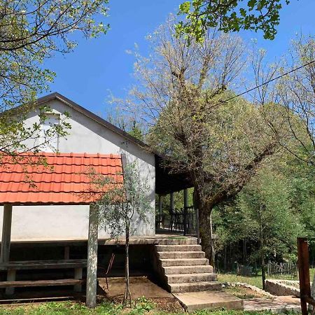 Apartamento Bandici House Podgorica Exterior foto